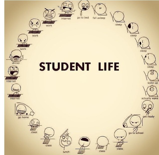 APHeadAches's profile picture. Just a college girl…trying to survive.