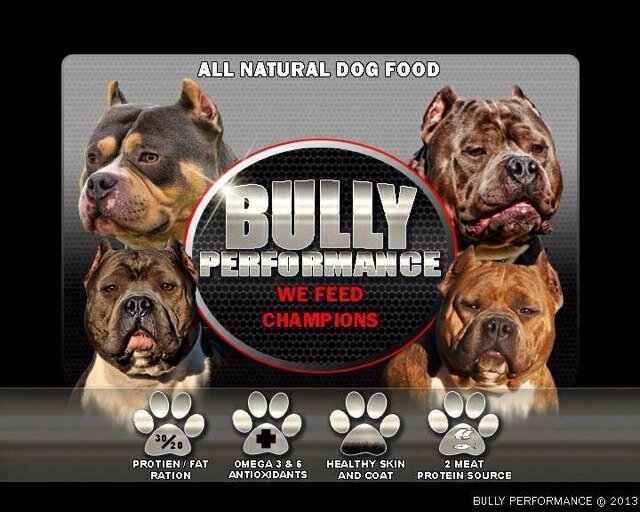 bully performance dog food bully performance dog food