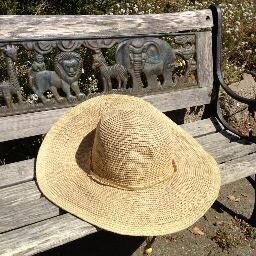 ECPCFound's profile picture. 