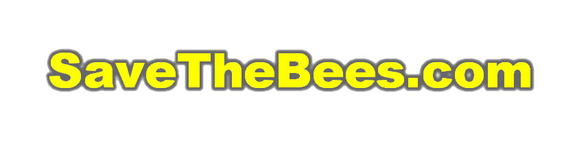 Spreading awareness to help save the bees!!