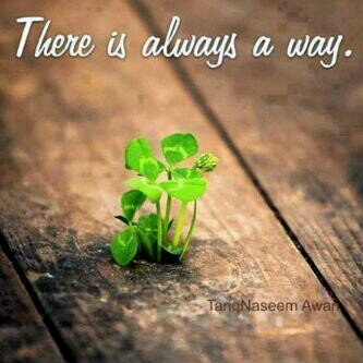 There is a Spirit in man & the inspiration of the Almighty gives him understanding.