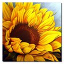 Nicole Garlock - @MsNicoleStewart - Twitter