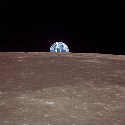 RicardoCazalis's profile picture. 