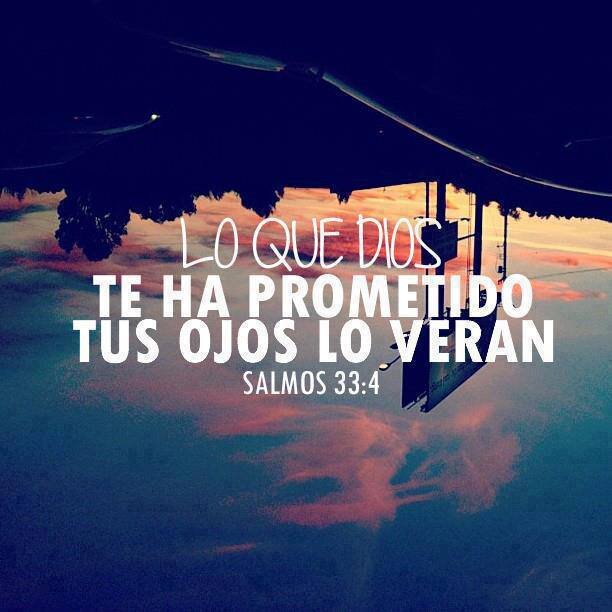 Me gusta One direction, Hot chelle rae y Demi lovato 
Soy skater...