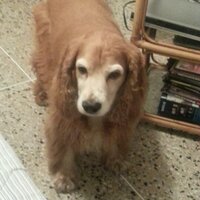 Ma Fda Mora Cordido (@morita_cordido) 's Twitter Profile