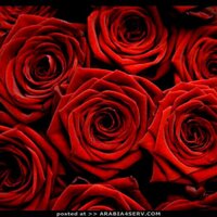 ام مشعل (@nedjma3758) 's Twitter Profile