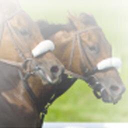 Welcome to BetandWinonHorses and discover how to consistently profit from horse racing.