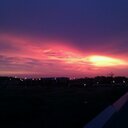 Scarlett Doyle - @ScarlettDoyle - Twitter