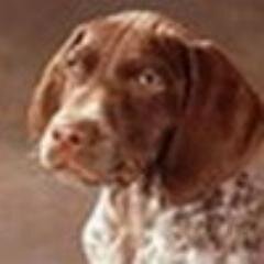 Лысина начинается с поредения висков
