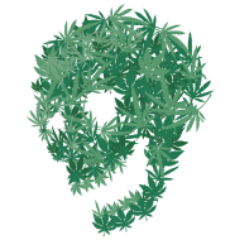 XamineBeats's profile picture. 