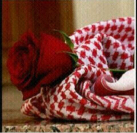 وحده من 11 الف مساعد اداري معينات ع الامر الملكي مع العلم اني بكالوريوس تربوي #ظلم_الكادر_الاداري #ظلم_التعليم_للاداريين