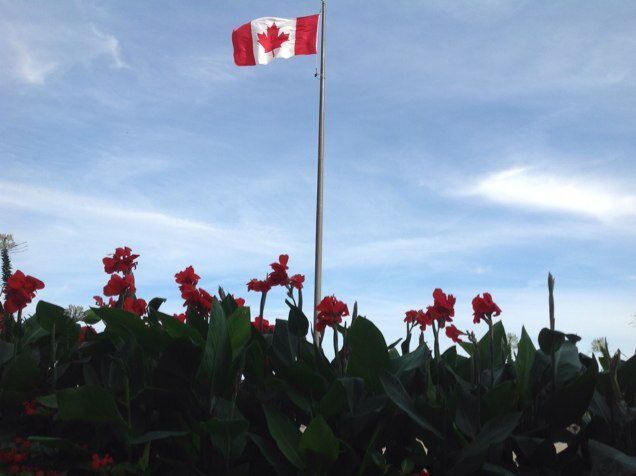 SueCrowleyNZ's profile picture. 