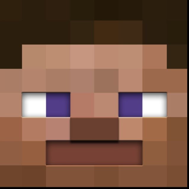 The Official Steve™