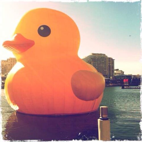 Jk_Roggee's profile picture. X-e1 fuji ipc