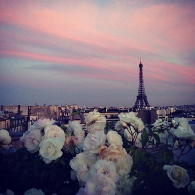 Mem93_'s profile picture. اللهم ارحم المؤمنين والمؤمنات والمسلمين والمسلمات الاحياء منهم والاموات ❤