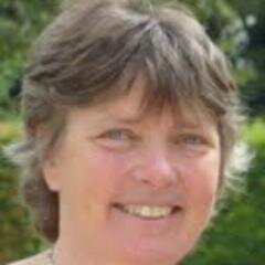 journalist / tekstschrijver / onderzoek /  tennis / hardlopen / zingen