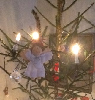 Prästkandidat, liberal, socialnämndsordförande. Alltid på väg.