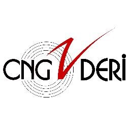 'Derinizin Rengi' (Since 1980)
