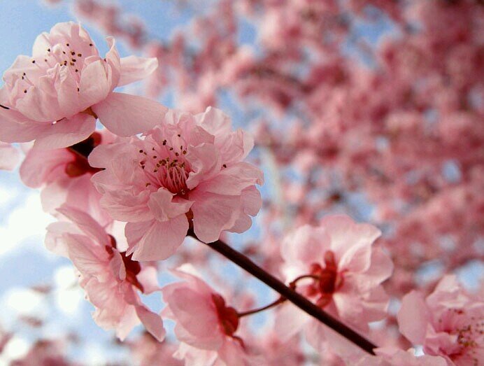 ‏‏‏هذا الحساب صدقة لي ولوالدي وللمسلمين والمسلمات الأحياء منهم والأموات ♥