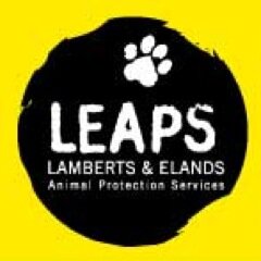 Helping people to help their pets - in the townships of Vredenburg, Lamberts & Elands. Want to adopt/foster a dog/cat - contact us! #capetown