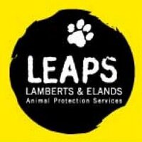 #LEAPS (@helpingthepaw) 's Twitter Profile