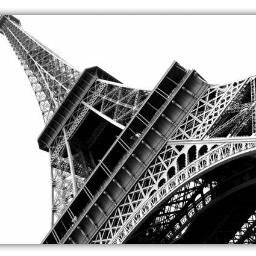 zlemalkan16's profile picture. MC & BARIŞ YURTÇU