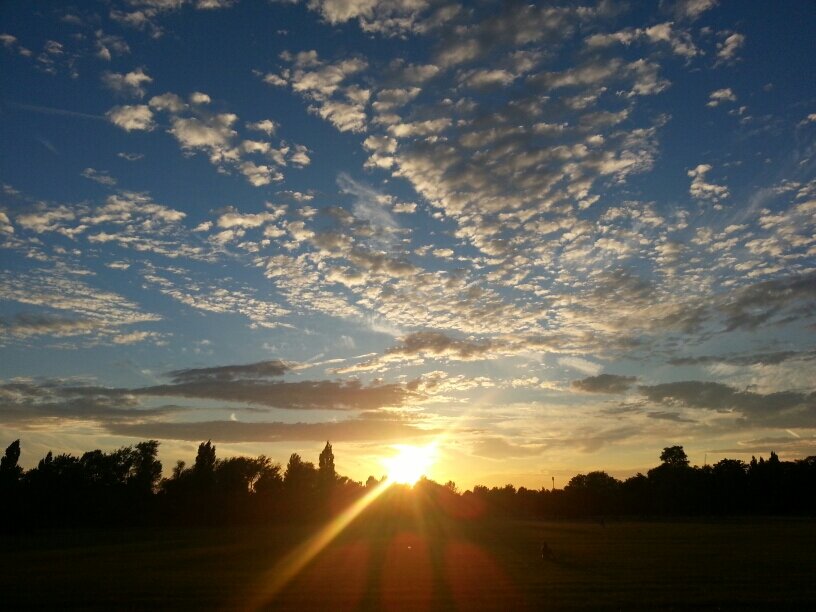 hamnachowdry's profile picture. wayfarer (likes sneakers, eyebrows, good books, writing, contemplating and most of all gallivanting!)