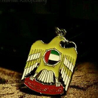 hamdan9899's profile picture. 