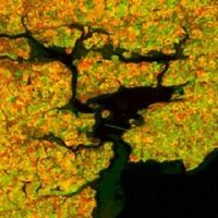 Cork Harbour (@corkharbour) 's Twitter Profile