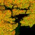 Cork Harbour (@corkharbour) Twitter profile photo Cork Harbour (@corkharbour) Twitter profile photo