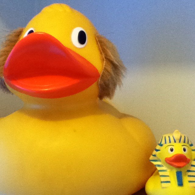 Bigdissduck's profile picture. father-of-23, resident of Diss Mere in Diss, Norfolk. I like eating bread crusts.