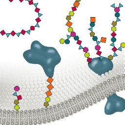 Glycoscience research department @ Max Planck Institute. Synthesis of bioactive carbohydrates, glycomics and medical implementation https://t.co/SDfEGBGL9X