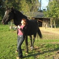 Chris Ⓥ (@anilib4ever) 's Twitter Profile Photo