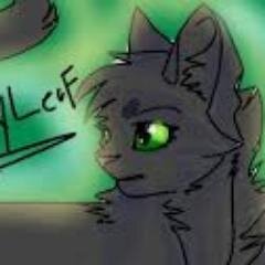 black she-cat. the cats in my background are swiftclaw and i in starclan. used to like @swiftflameshade. single warrior Theme- hall of fame. ShadowClan Deputy
