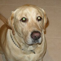 Buddy (@cspencer73) 's Twitter Profile