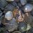 mikemontauk's avatar