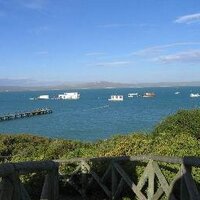 SANParks WCNP (@westcoastnp) 's Twitter Profile