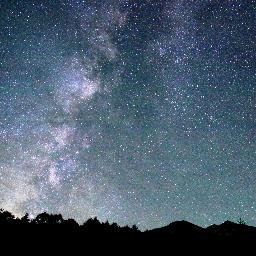 星羅さんのプロフィール画像