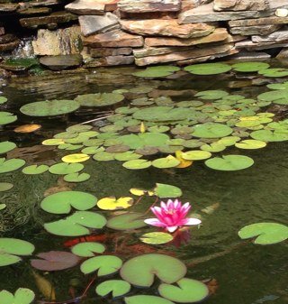 Mom, Yogi, student of Ayurveda. Finding that happy balance of holding on and letting go. Read my happiness blog at https://t.co/kCNPHGENRV