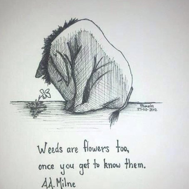 Frank77329241's profile picture. 