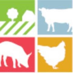 RED_foods Profile Picture