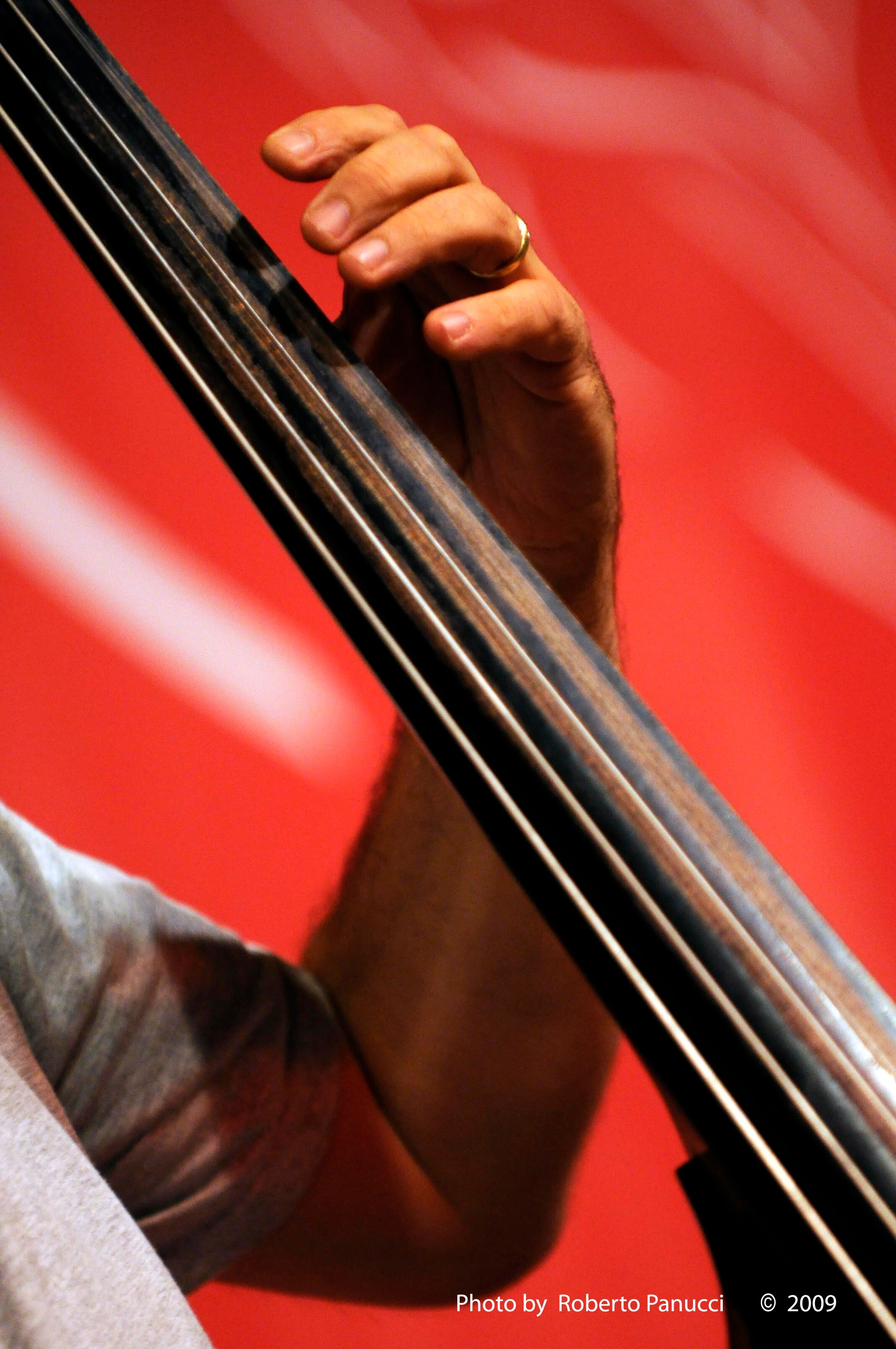 Musician, double bass player, composer, arranger, deep time astronaut.