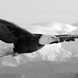 Fly above the crowd. Travel a lot. Enjoy the nights. Celebrate every moment. Live my life. Have fun. Respect my friends. Love to love.