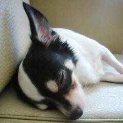 kasa_mi's profile picture. いろいろ察してください。わたしとあなたはちがう人間です。