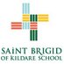 Saint Brigid (@stbrigidkildare) Twitter profile photo Saint Brigid (@stbrigidkildare) Twitter profile photo