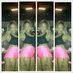 Prettyy_piece (@_tierrab) Twitter profile photo