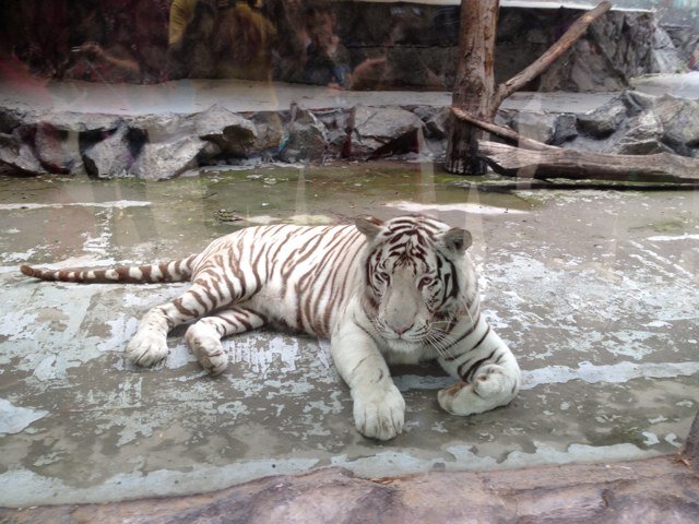 sublimator20121's profile picture. 