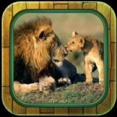 High quality Animal Sounds iOS app with HD pictures, #Education #Entertainment #Laugh #Learn #Fun #Moms #Parents #Kids #Toddlers