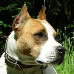 robic6's profile picture. 