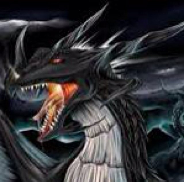 DragonOfTara's profile picture. The Eternal Dragon of Tara. I can grant 1 wish. Can revive somebody 1 time. Can only be used 1 time a week. I am a patient and wise dragon. #TaraDBHunt
